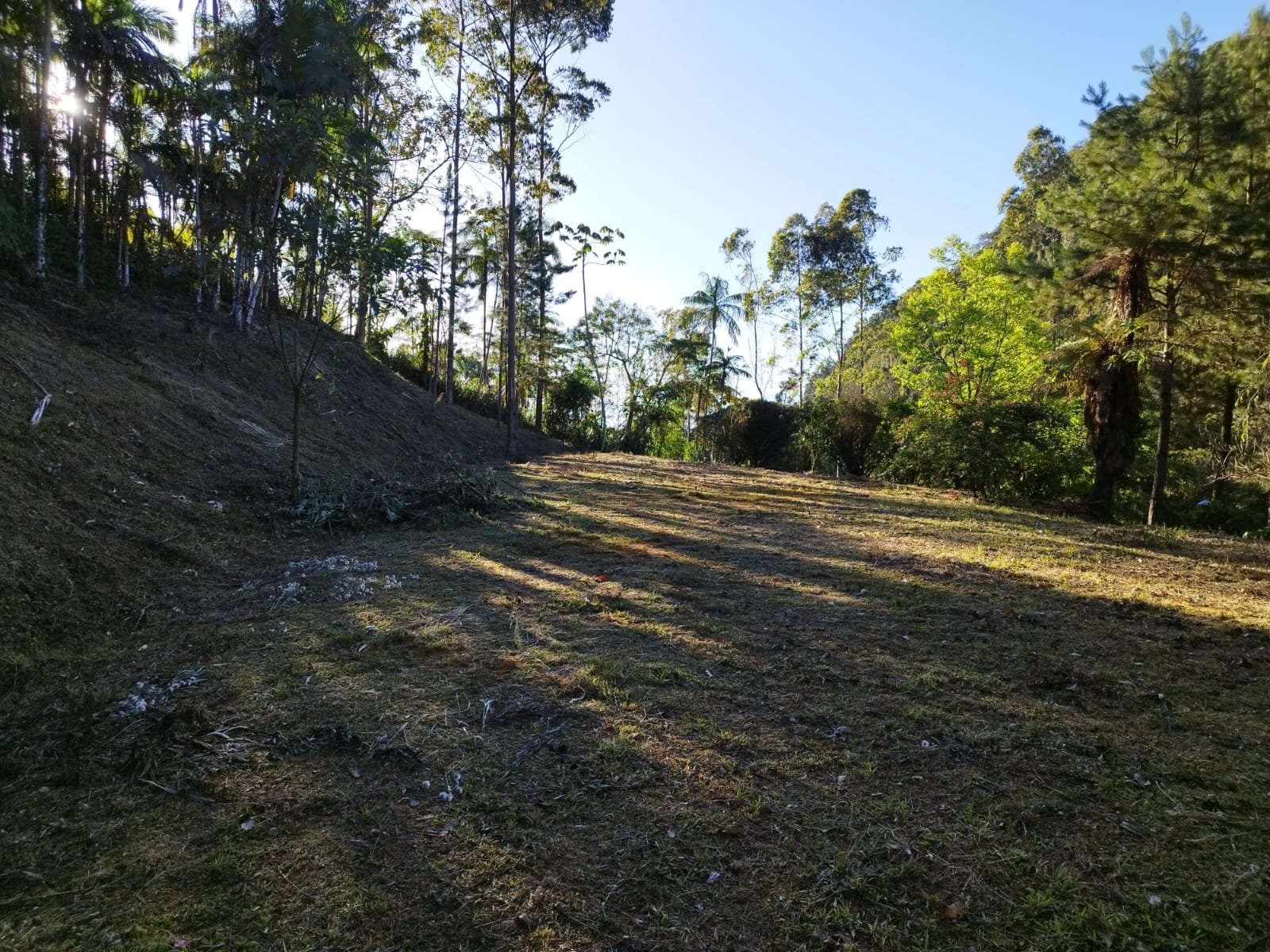 Sitio localizado em Benedito Novo com 45457m2